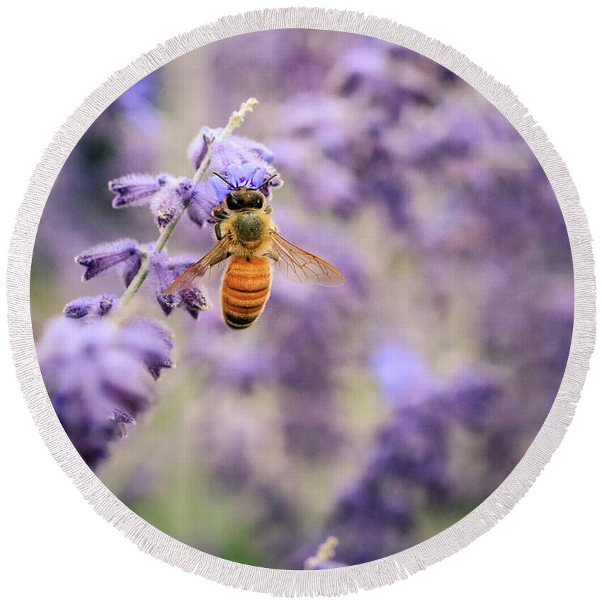College Church Round Beach Towel featuring the photograph The Honey Bee and the Sage by Joni Eskridge