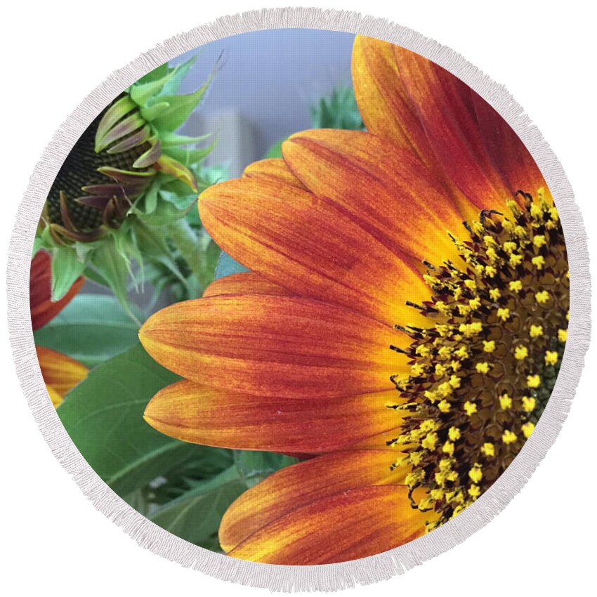 Sunflower Round Beach Towel featuring the photograph The Magic Sunflower Pollen by Dorothy Maier