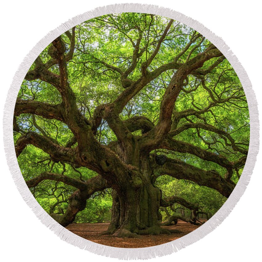 Angel Oak Tree Round Beach Towel featuring the photograph The Magical Angel Oak Tree Panorama by Michael Ver Sprill
