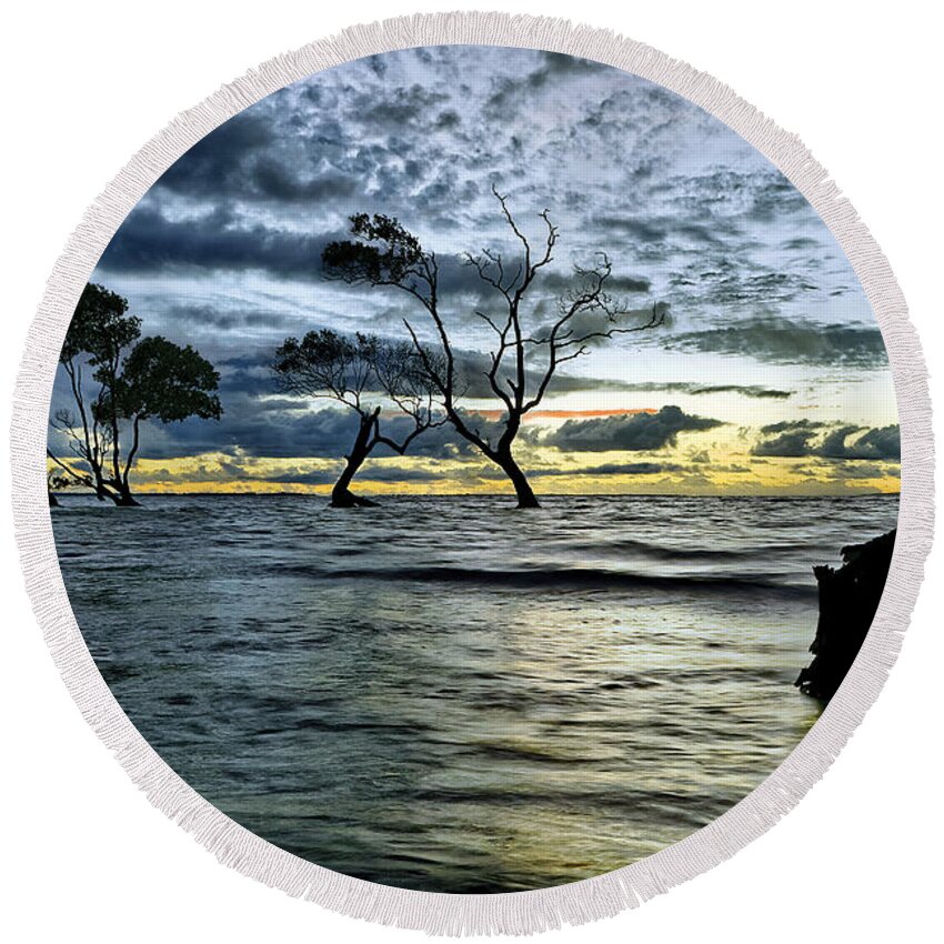 2015 Round Beach Towel featuring the photograph The Mangrove Trees by Robert Charity