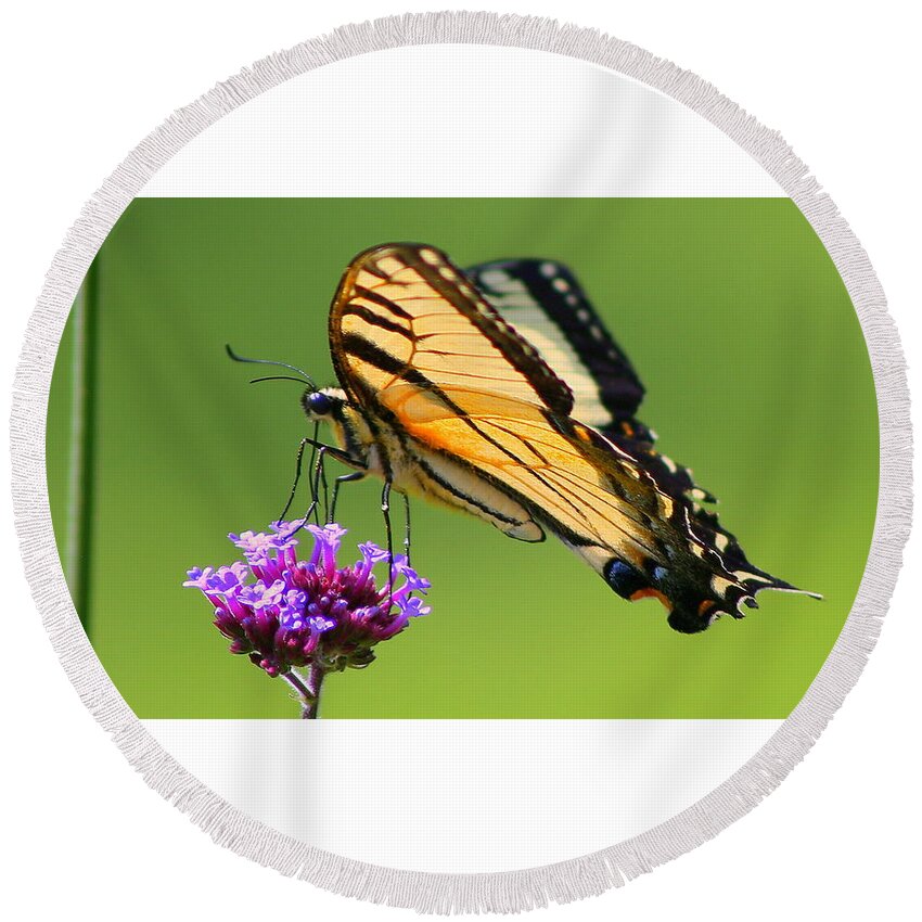 Monarch Butterfly Round Beach Towel featuring the photograph The Monarch by Imagery-at- Work