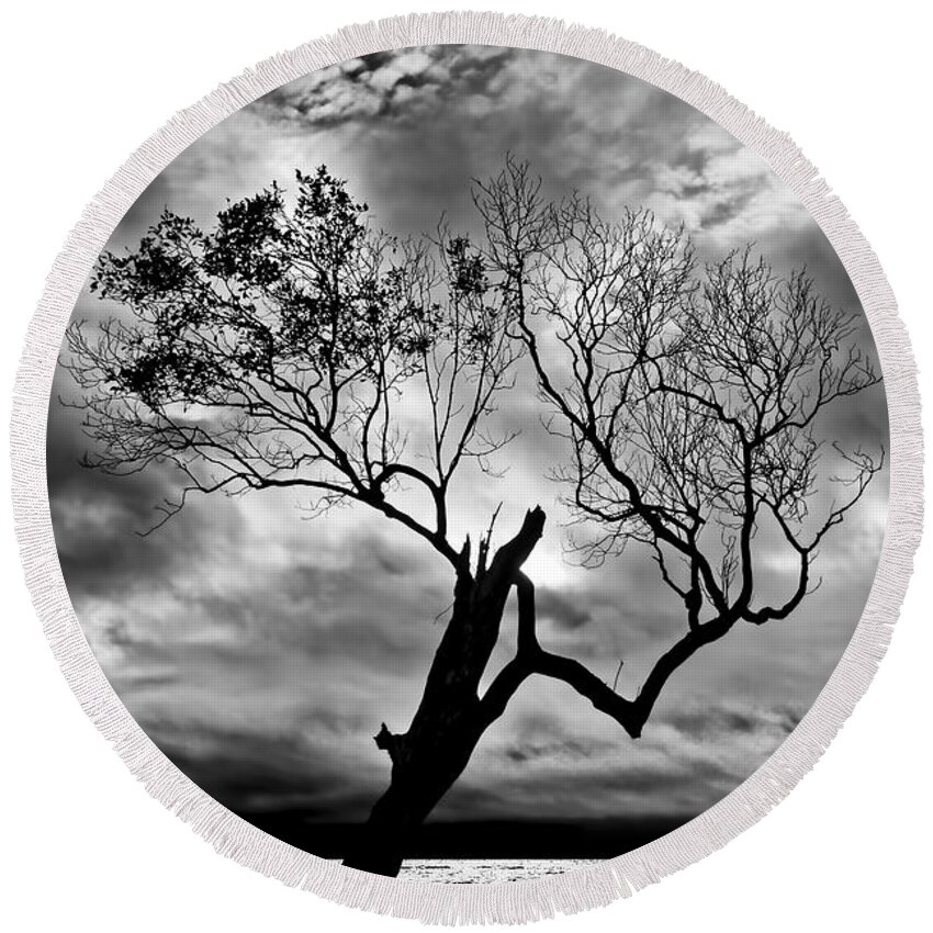 2015 Round Beach Towel featuring the photograph The Old Mangrove tree in the Sea by Robert Charity