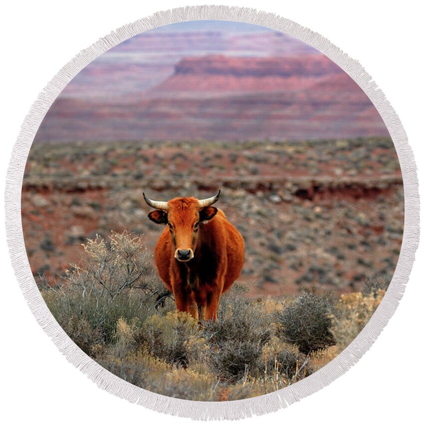 Open Round Beach Towel featuring the photograph The Open Range 2 by Nicholas Blackwell
