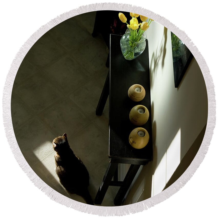 Cat Round Beach Towel featuring the photograph The Reception Hall by JGracey Stinson