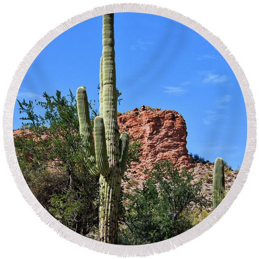 Cactus Round Beach Towel featuring the photograph The Saguaro And The Deep Blue Sky by Kirt Tisdale