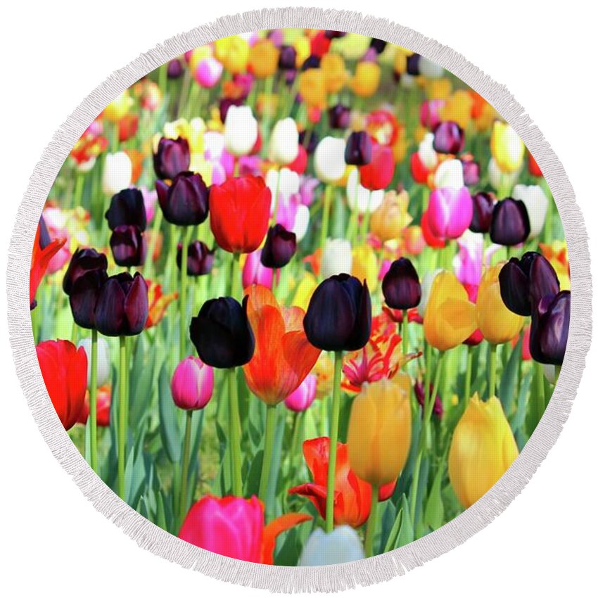 Tulip Round Beach Towel featuring the photograph The Season Of Tulips by Cynthia Guinn