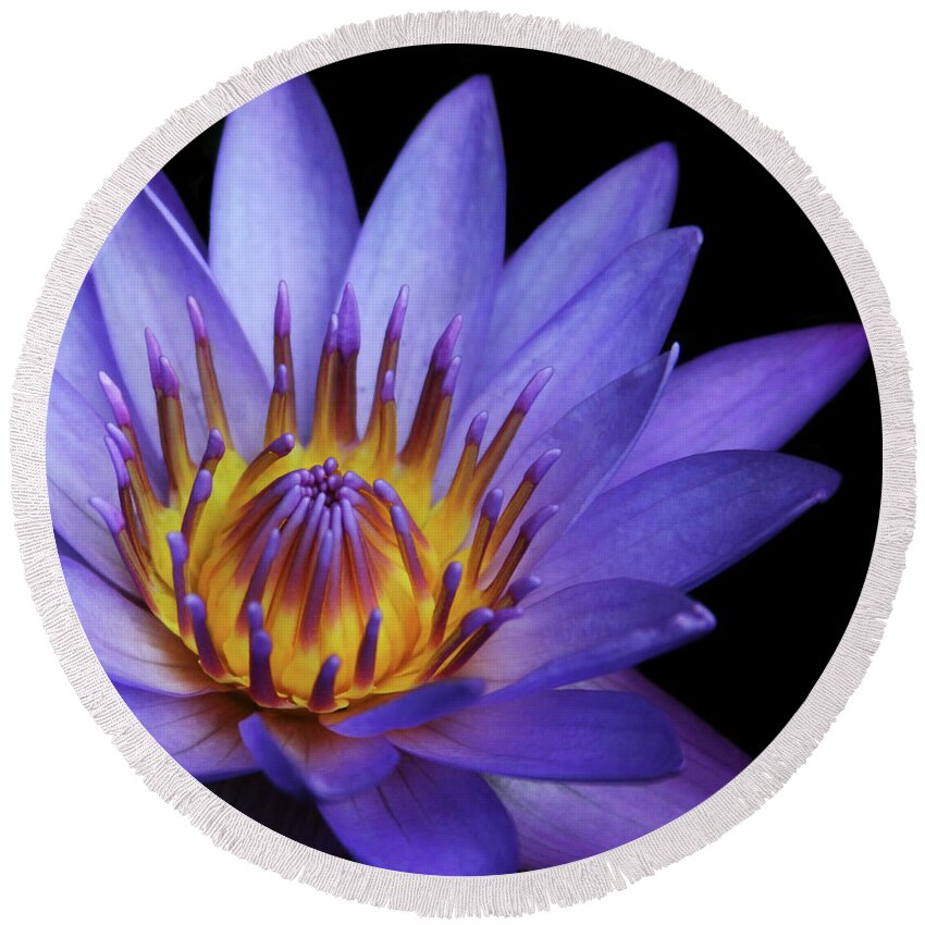 Waterlily Round Beach Towel featuring the photograph The Singular Embrace by Sharon Mau