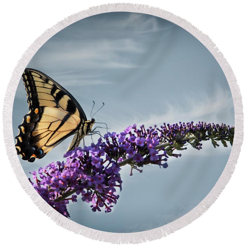 Swallowtail Round Beach Towel featuring the photograph The Sky Is The Limit by Judy Wolinsky