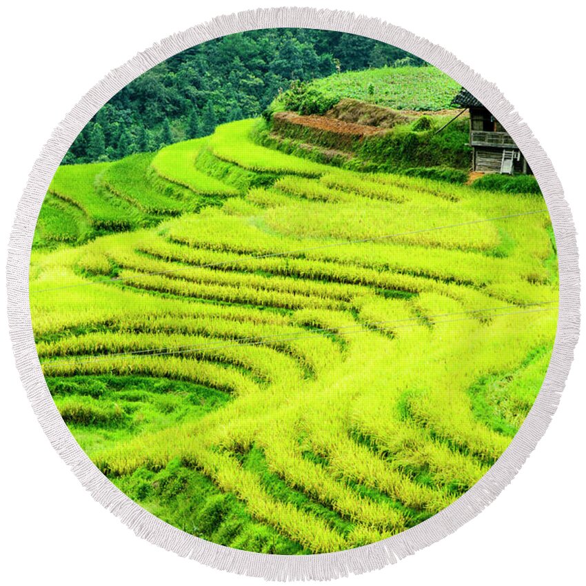Rice Round Beach Towel featuring the photograph The terraced fields scenery in autumn by Carl Ning