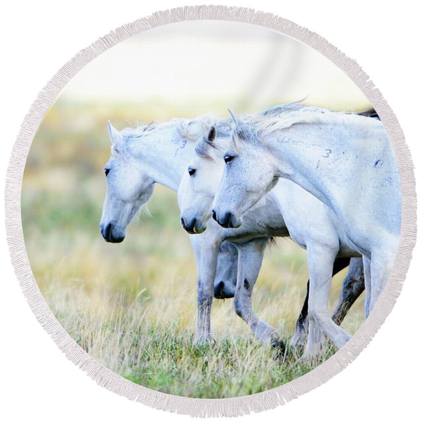 Wild Horses Round Beach Towel featuring the photograph The Three Amigos by Bryan Carter