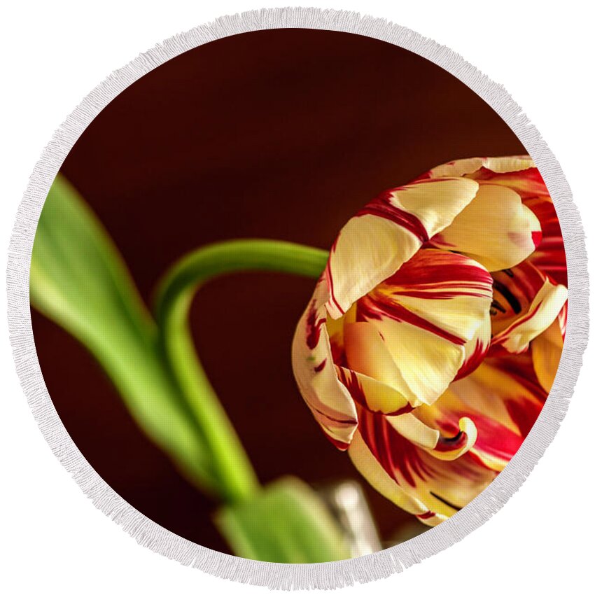 Tulip Round Beach Towel featuring the photograph The Tulip's bow by Wolfgang Stocker