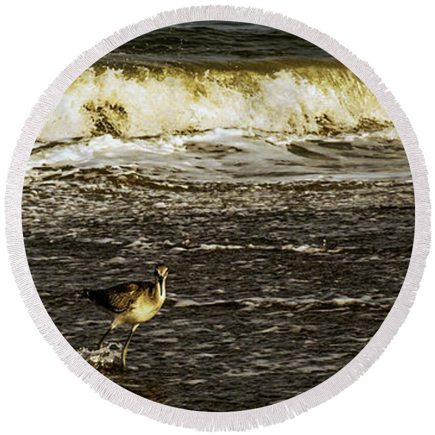 The Wading Willet Prints Round Beach Towel featuring the photograph The Wading Willet by John Harding