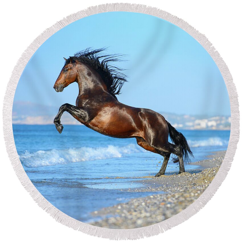 Russian Artists New Wave Round Beach Towel featuring the photograph The Wave. Andalusian Horse by Ekaterina Druz