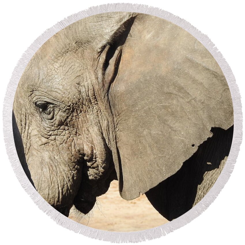Elephant Round Beach Towel featuring the photograph The Weathered Look by Betty-Anne McDonald