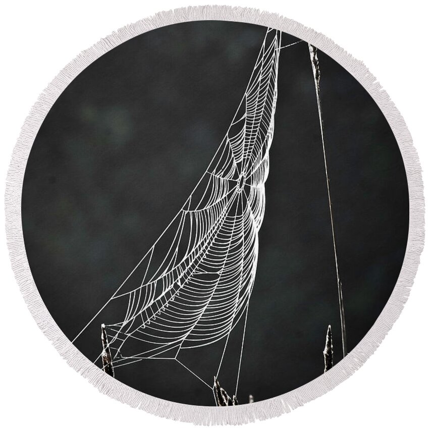Web Round Beach Towel featuring the photograph The Web by Tom Cameron
