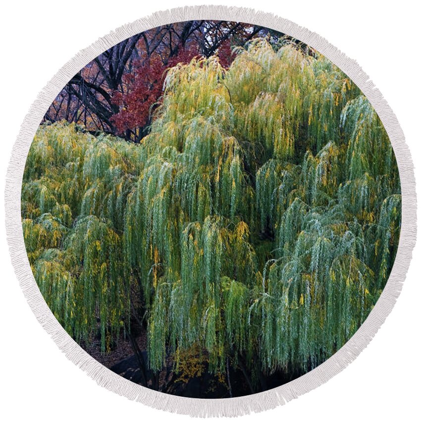 New York City Round Beach Towel featuring the photograph The Willows of Central Park by Lorraine Devon Wilke