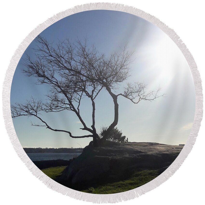 Tree Round Beach Towel featuring the photograph This Tree Rocks by Lori Lafargue