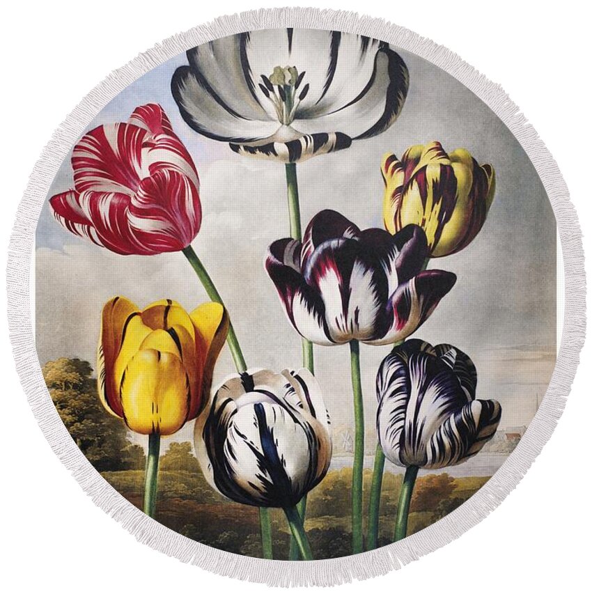 1798 Round Beach Towel featuring the painting Tulips by Philip Reinagle
