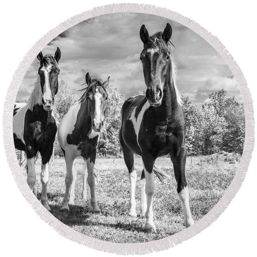 Horses Round Beach Towel featuring the photograph Three Amigos by Holly Ross