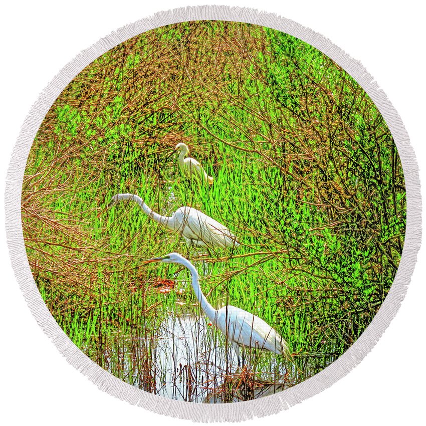 Chincoteague Island Round Beach Towel featuring the photograph Three in a Row by Kathi Isserman