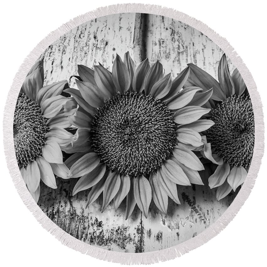 Mood Round Beach Towel featuring the photograph Three Sunflowers Still Life In Black And White by Garry Gay