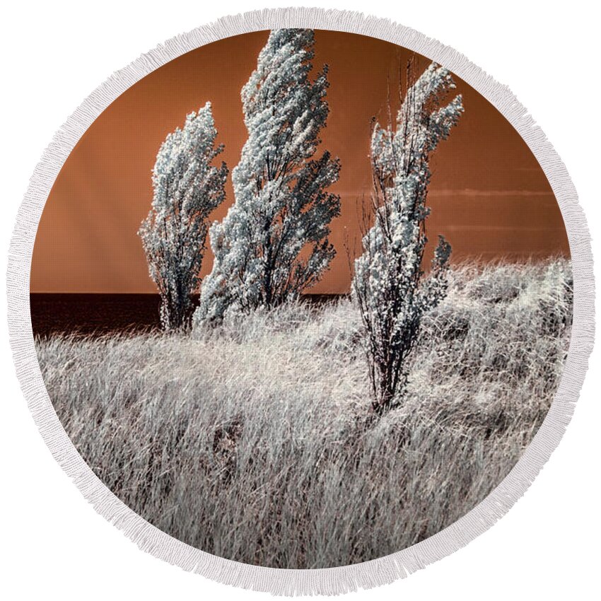 Dune Round Beach Towel featuring the photograph Three Trees in Infrared on top of a Grassy Dune by Randall Nyhof