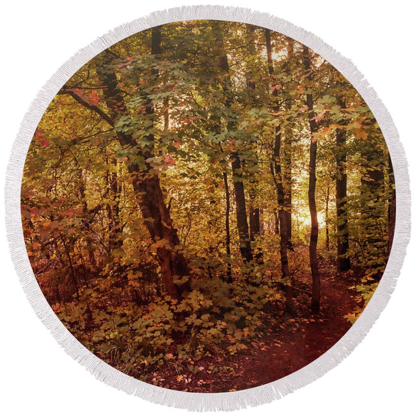 Fall Forest Round Beach Towel featuring the photograph Through The Fall Forest by Saija Lehtonen