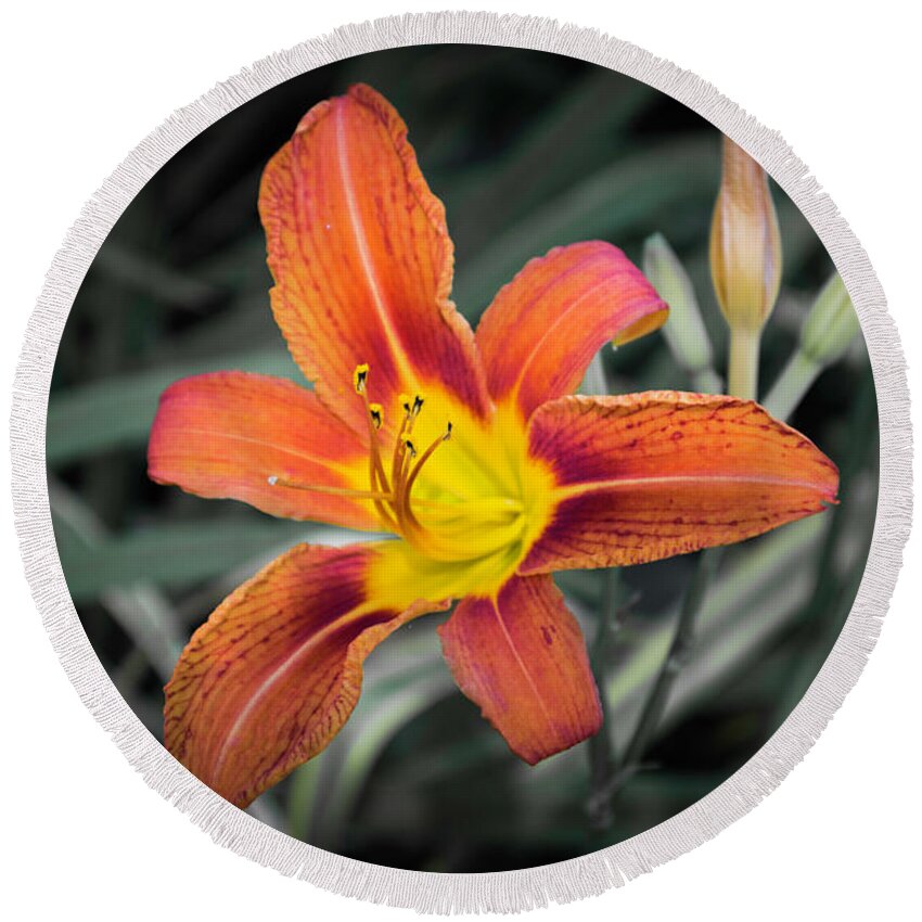 Tiger Lily In Bloom Round Beach Towel featuring the photograph Tiger Lily 2 by Kenneth Cole