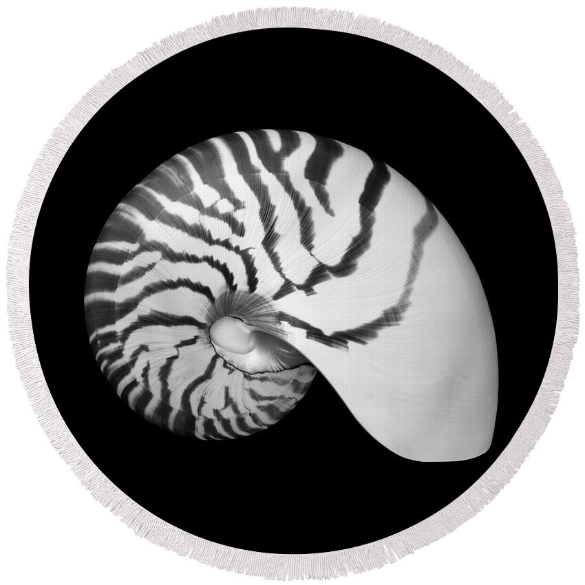 Sea Shell Round Beach Towel featuring the photograph Tiger Nautilus shell by Jim Hughes