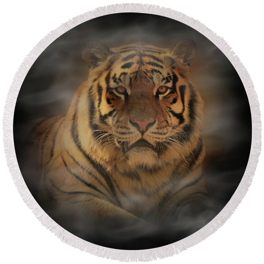 Tiger Round Beach Towel featuring the photograph Tiger by Sandy Keeton