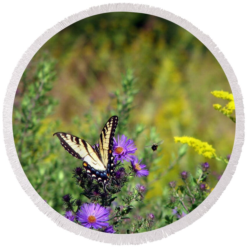 Tiger Swallowtail Round Beach Towel featuring the photograph Tiger Swallowtail and Bee by George Jones