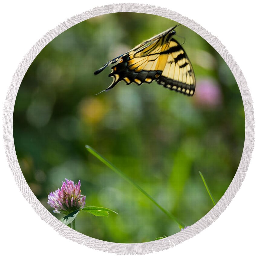 Tiger Swallowtail Butterfly In Flight Round Beach Towel featuring the photograph Tiger Swallowtail Butterfly In Flight by Holden The Moment