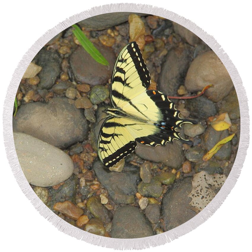 Butterfly Round Beach Towel featuring the photograph Time for a Rest by Allen Nice-Webb