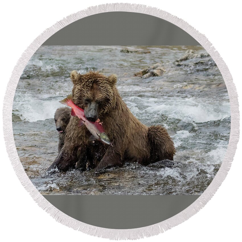 Alaska Round Beach Towel featuring the photograph Time for Lunch by Cheryl Strahl