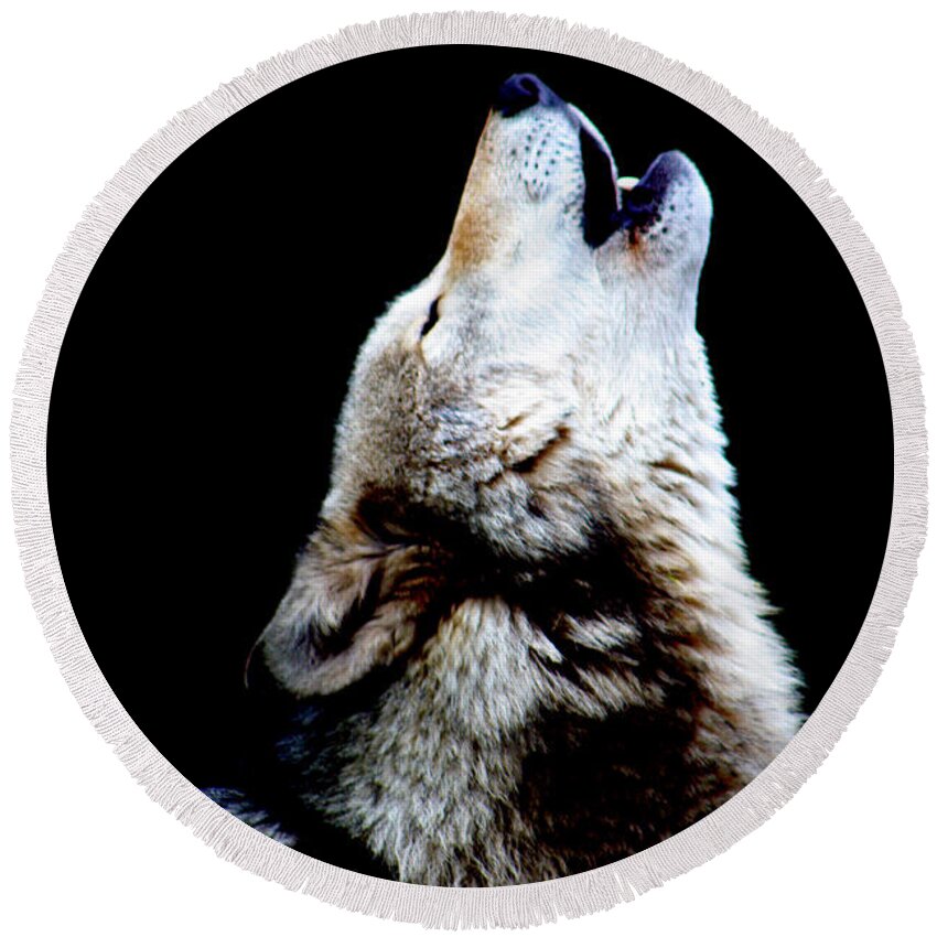 Wolf Round Beach Towel featuring the photograph Time to Howl by Nick Gustafson
