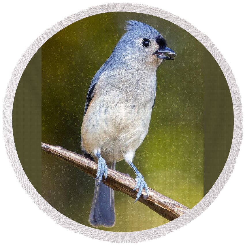 Snow Round Beach Towel featuring the photograph Titmouse Flurries by Bill and Linda Tiepelman