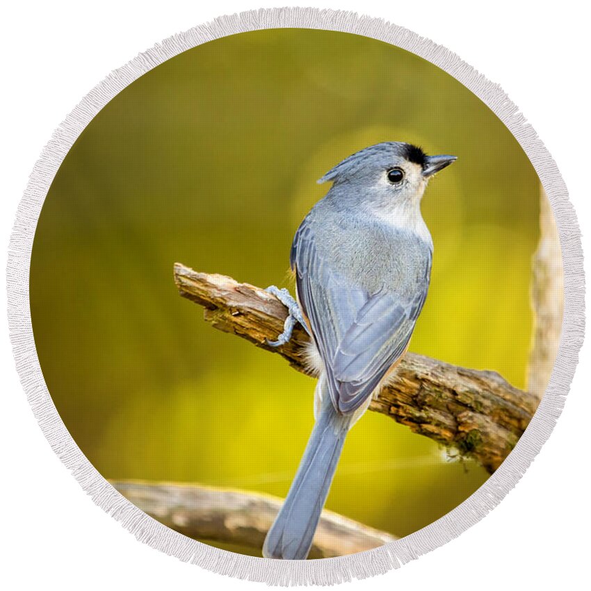 Titmouse Round Beach Towel featuring the photograph Titmouse From Behind by Bill and Linda Tiepelman