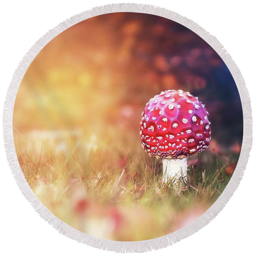 Toadstool Round Beach Towel featuring the photograph Toadstool Story by Jaroslav Buna