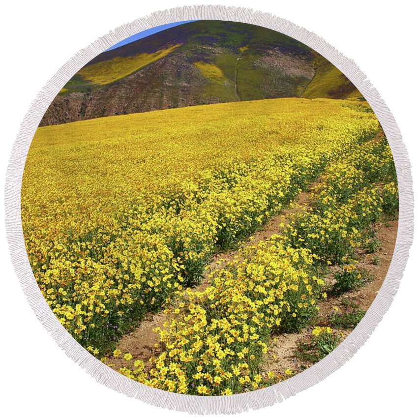 Wildflower Round Beach Towel featuring the photograph Trail of wildflowers up the Temblor Range at Carrizo Plain National Monument by Jetson Nguyen