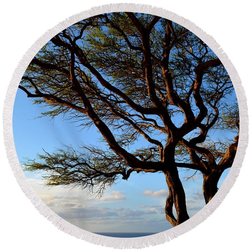 Tree Round Beach Towel featuring the photograph Tree at Lapakahi State Historical Park by Lori Seaman