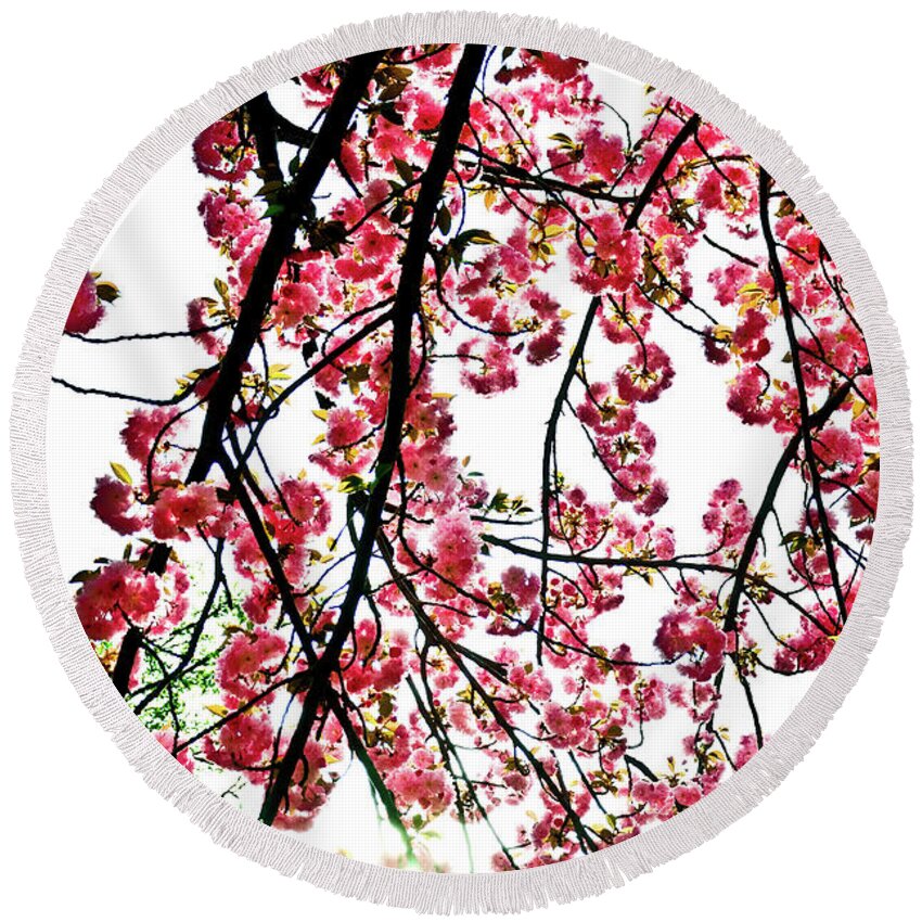 Cherry Tree Round Beach Towel featuring the photograph Tree Blossoms by Scott Sawyer