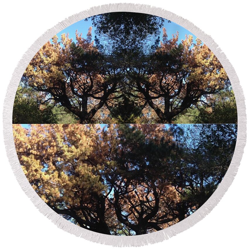 Tree Round Beach Towel featuring the photograph Tree Chandelier by Nora Boghossian