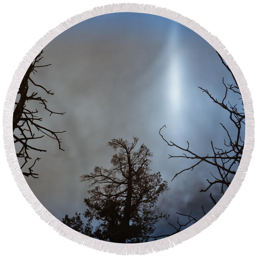 Trees Round Beach Towel featuring the photograph Tree Flash by Scott Sawyer
