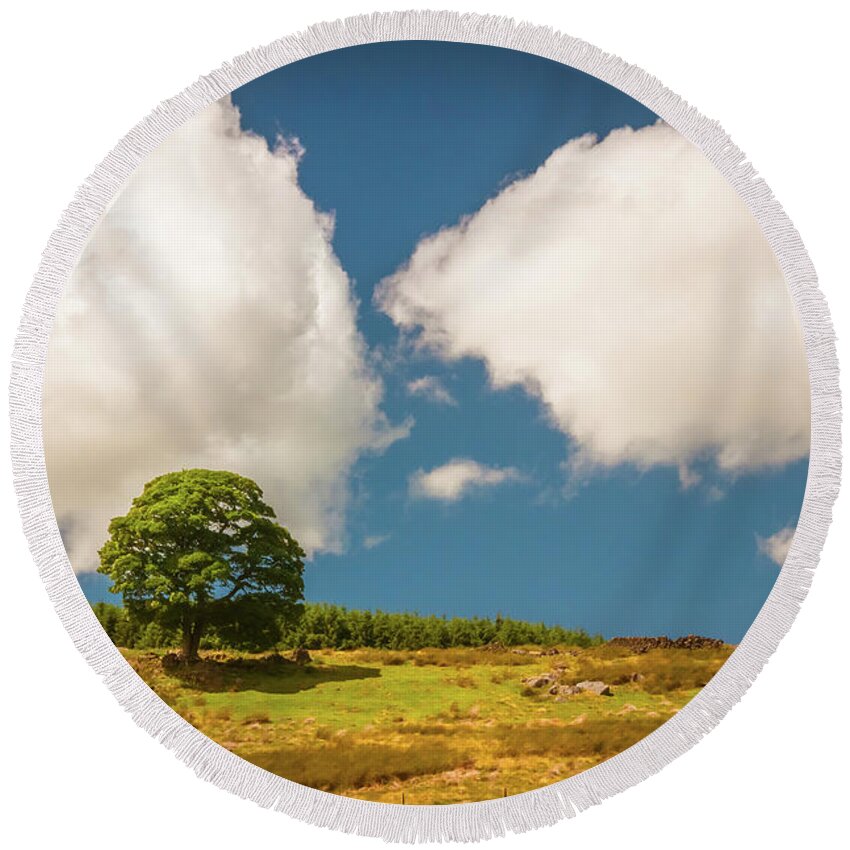 Airedale Round Beach Towel featuring the photograph Tree by Mariusz Talarek