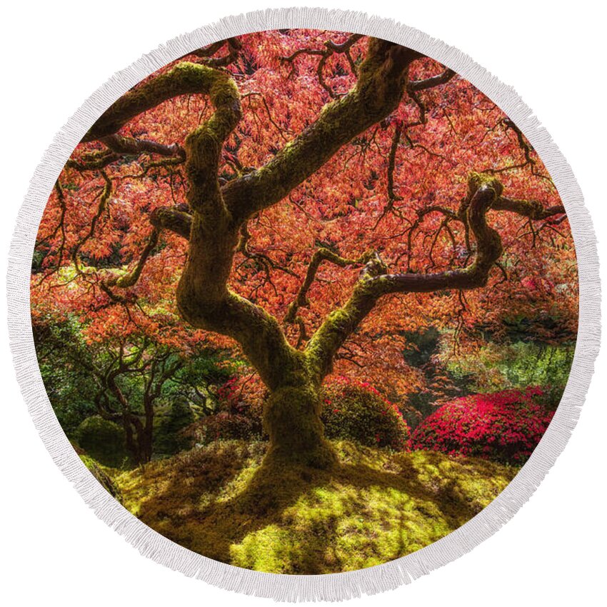 Tree Round Beach Towel featuring the photograph Tree of Flames by Harry Spitz