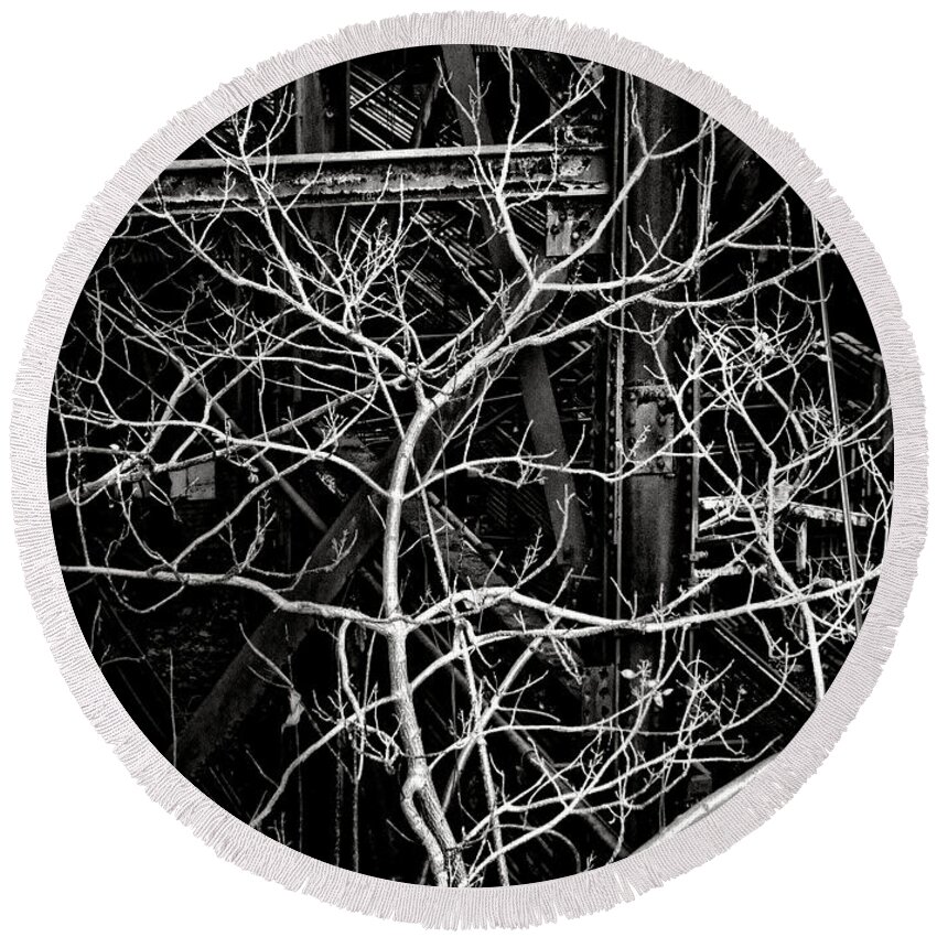 Resilient Round Beach Towel featuring the photograph Tree of Non Life by Olivier Le Queinec