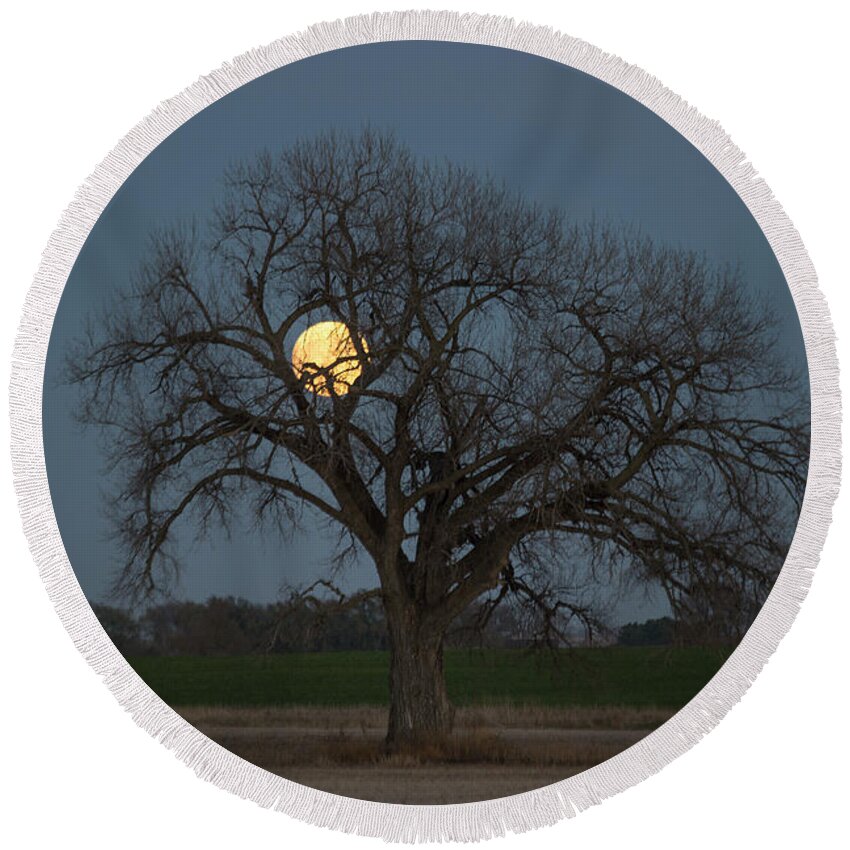 Sky Round Beach Towel featuring the photograph Tree of Supermoon by Aaron J Groen