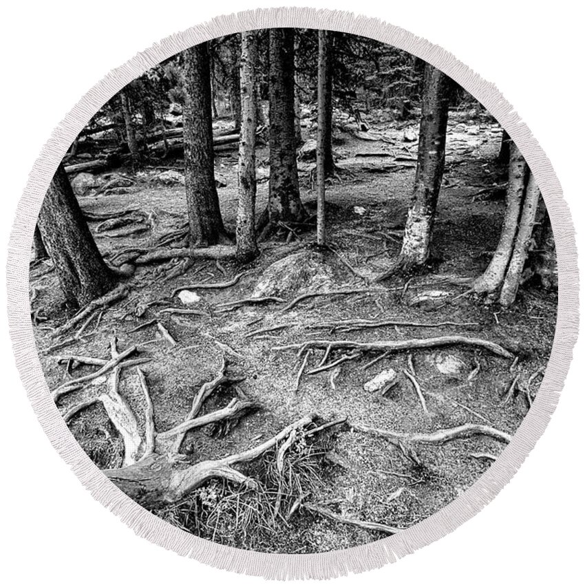 Landscape Round Beach Towel featuring the photograph Tree Roots Bear lake,co by James Steele