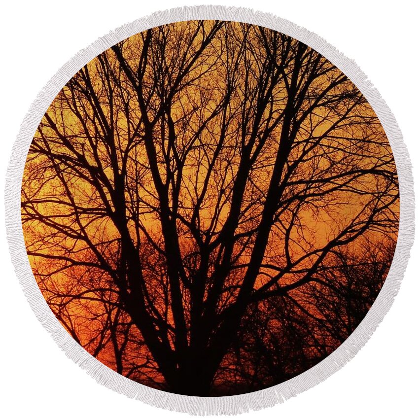 Sun Round Beach Towel featuring the photograph Tree silhouette by Yumi Johnson
