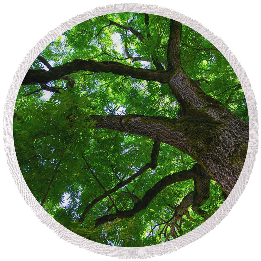 Tree Round Beach Towel featuring the photograph Tree Story 1 by Bonnie Bruno